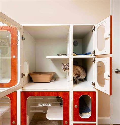 Pet Boarding in North Port | Bayside Pet Resort