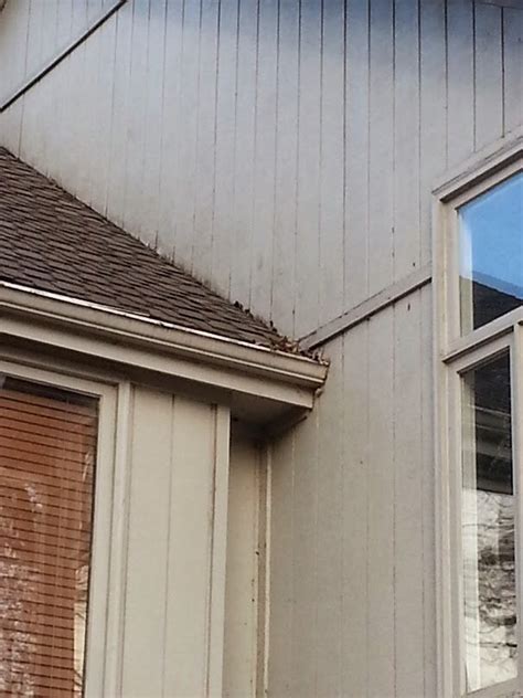 How Can I Fix The Rotten T 111 Above Shingles And Under Gutter