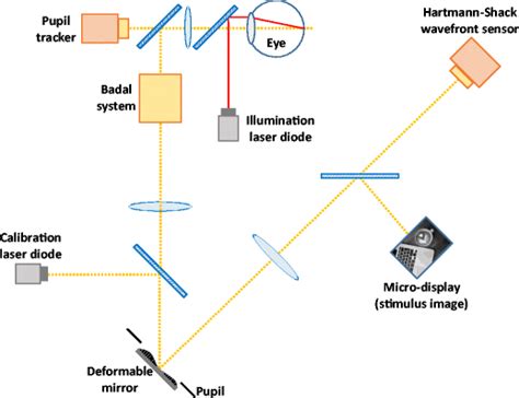 Schematic Layout Of The Optical Experimental Setup Download