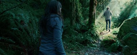 Edward And Bella In The Forest