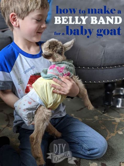 DIY Goat Diapers for Small Breeds - DIY Danielle®