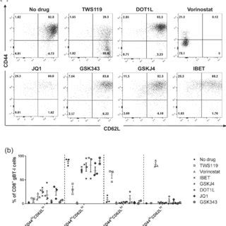 T Cell Phenotype Of Activated T Cells In The Presence Of Epigenetic