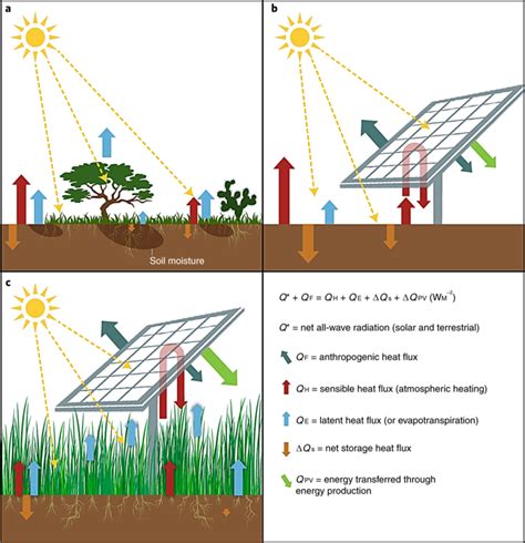 Largest Farm To Grow Crops Under Solar Panels Proves To Be A Bumper Crop For Agrivoltaic Land