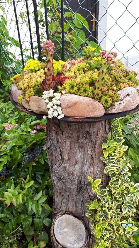 Pin By Pirjo Haapalahti On Gardening In Pots Containers Ruukkutarha