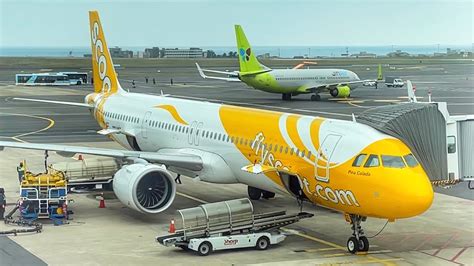 SCOOT REVIEW Airbus A321NEO TR813 Jeju To Singapore YouTube