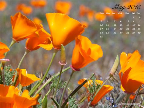 May Calendar Wallpaper Wallpaper Blank March Calendar