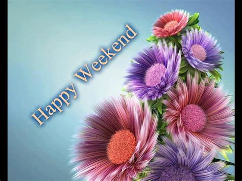 Happy Weekend Weekend Coloured Flowers Wishes Happy Hd Wallpaper