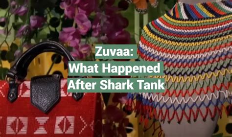 Zuvaa What Happened After Shark Tank Sharktankwiki