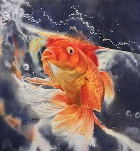 Pin De Helen Shideler Fine Art Em Fins Paintings Of Fish Peixe Dourado