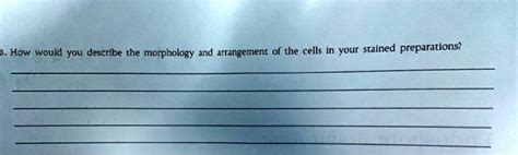 SOLVED How Would You Describe The Morphology And Arrangement Of The