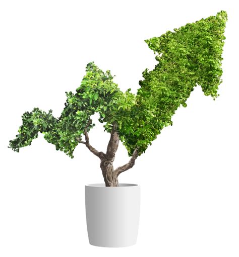 Elevate Products | Leader Bank