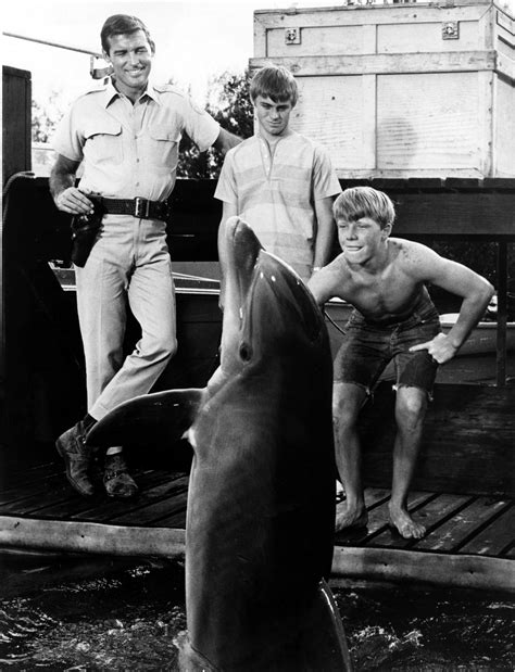 The Tv Show Flipper Flipped Into Our Hearts 60 Years Ago