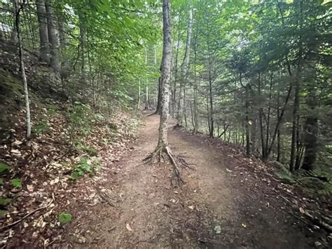 Hiking The Franconia Ridge Trail Loop Wandering With A Dromomaniac