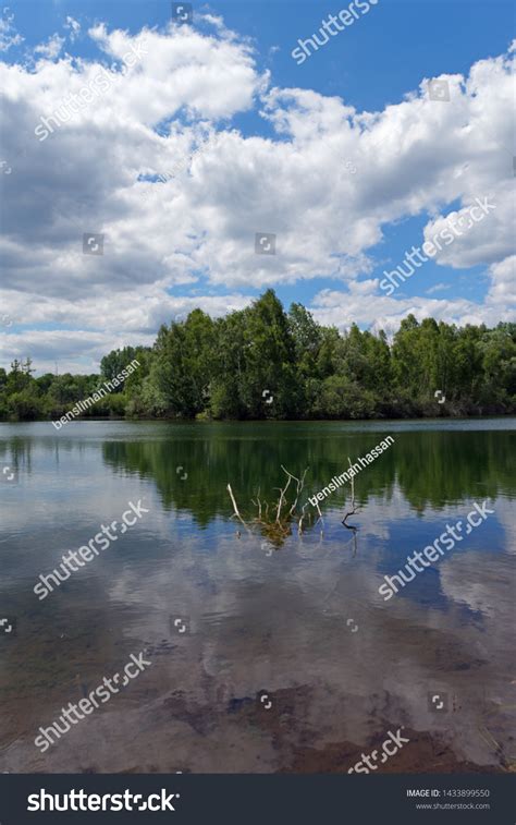 Episy Swamp Nature Resrve French Regional Stock Photo 1433899550