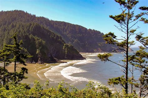 Easy Hikes Near Florence Oregon Jetsetting Fools