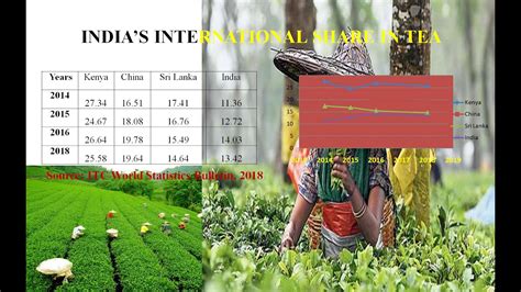 Role Of Tea Industry In Assam Youtube