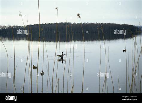 Skanderborg Lake in Denmark Stock Photo - Alamy