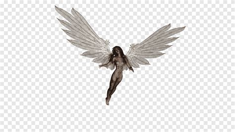 Angel Naked Angel Png Pngegg