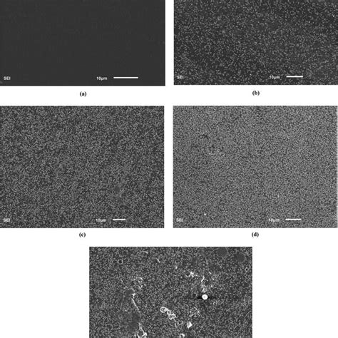 SEM Images Of PEBA Cu2O MMMs With Different Cu2O Contents A 0 Wt