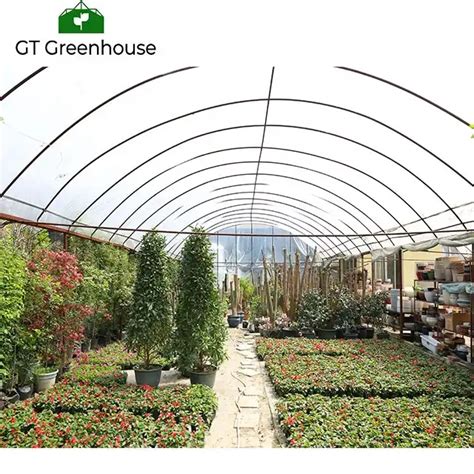 What plants are suitable for growing in glass greenhouse