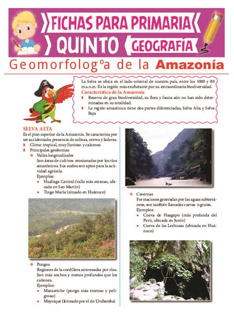 Geomorfología de La Amazonía para Quinto Grado de Primaria PDFCOFFEE