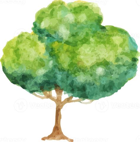 árbol de otoño acuarela 13166406 PNG