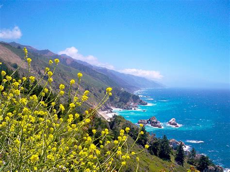 Big Sur California Destinasi Wisata Alam Yang Menakjubkan