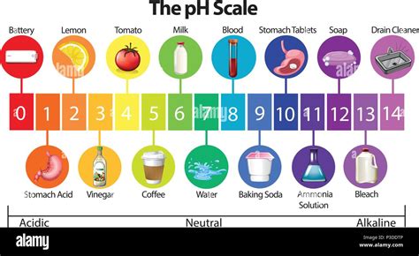 Una educación cartel de ilustración de la escala del pH Imagen Vector