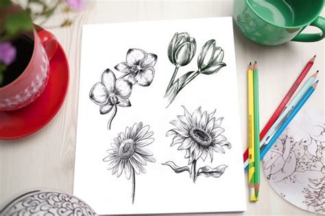 Como Dibujar Flores Aprende A Dibujar Flores Realistas