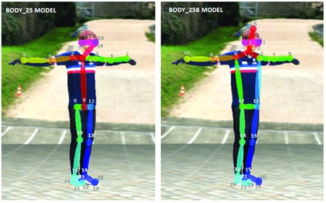 The Experimental Body B Openpose Model Is More Accurate Than The