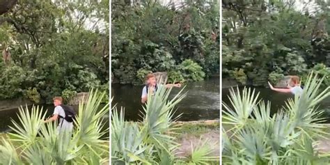 Man Jumps Into Busch Gardens Alligator Exhibit In Florida See The