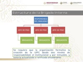 Programa Interno De Protecci N Civil Pdf