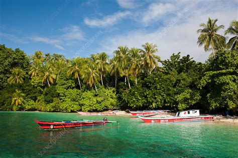 Lagoon of Ahe Island - Stock Image - C031/8440 - Science Photo Library