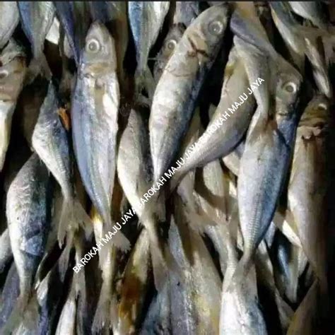 Ikan Asin 250 Gram Ikan Layang Ikan Klotok Lazada Indonesia