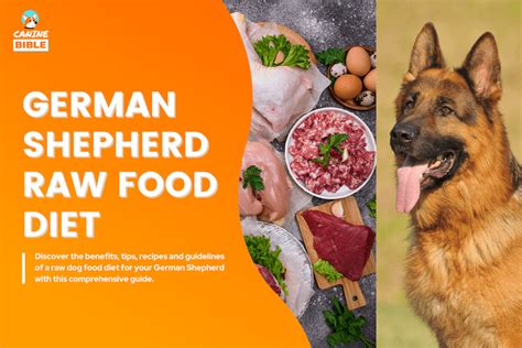 German Shepherd Raw Food Diet Guide: Best Recipes, Benefits & More - Canine Bible