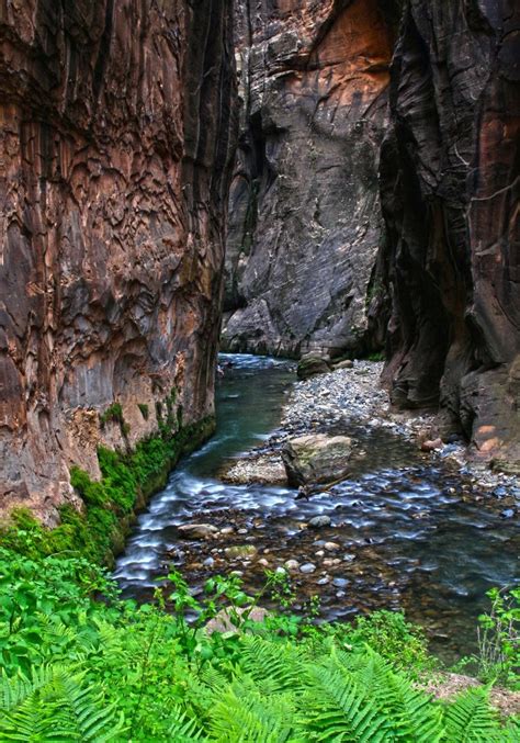 6 cool things to know about The Narrows, Zion National Park