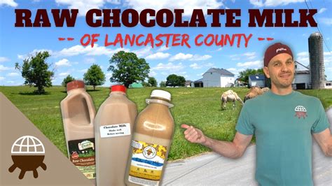 Pj Is Reviewing Every Chocolate Milk In The Usa Get Raw Milk