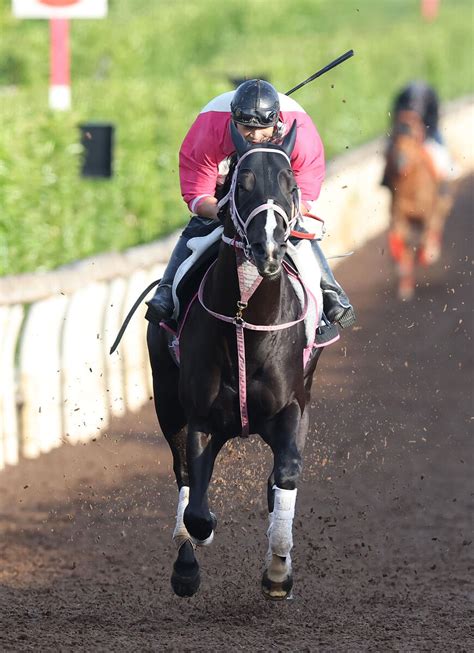 日曜東京競馬場の注目激走馬東京12r目黒記念・g2 Umatoku 馬トク