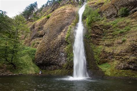 A complete guide to visiting Horsetail Falls and Ponytail Falls