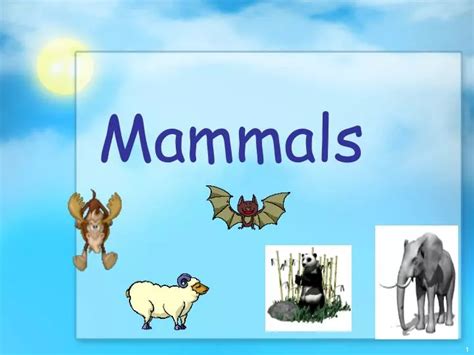 Ppt Mammals Powerpoint Presentation Free Download Id 599347