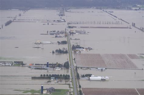 How B.C. can rebuild better a year after devastating flooding | The Narwhal