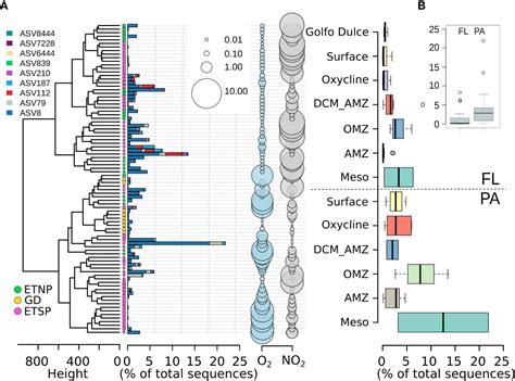 Frontiers Metaomics Unveils The Contribution Of Alteromonas Bacteria