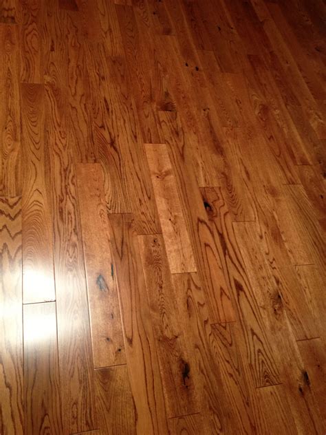 Gunstock Oak Laminate Flooring Cristobal Zeigler