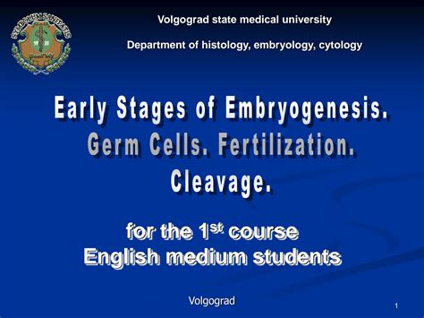 SOLUTION: Early stages of embryogenesis - Studypool