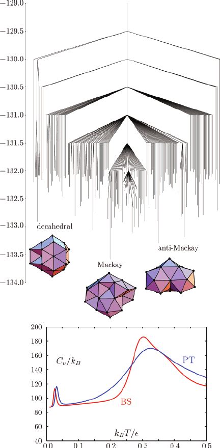 Time Evolution Of The Occupation Probabilities For Three Groups Of