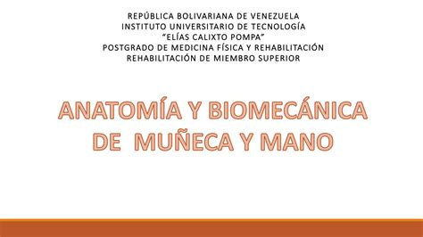 SOLUTION Anatom A Y Biomec Nica De Mano Studypool