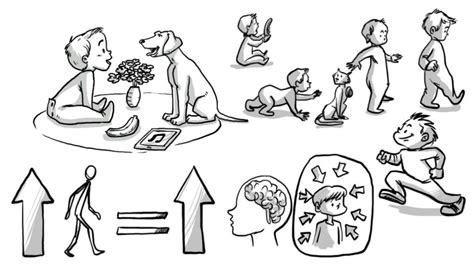 Jean Piaget Stages Of Cognitive Development Chart | ppgbbe.intranet ...