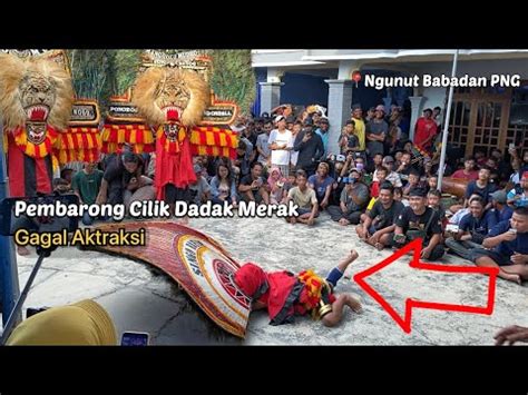 Pembarong Cilik Reog Ponorogo Membuat Penonton BersorakNgunut Babadan