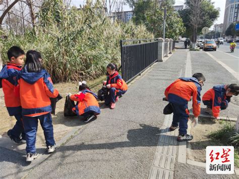 武侯学子让“志愿红”在文明实践中闪光手机新浪网