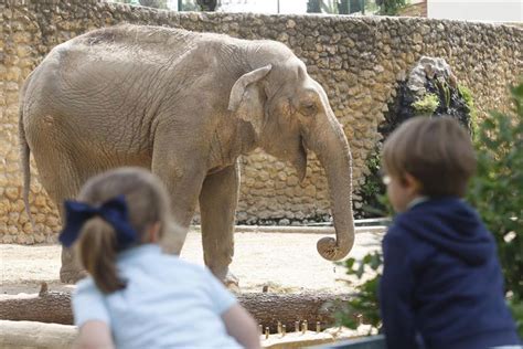 Centro De Conservación Zoo De Córdoba